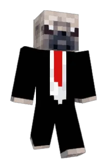 MistaPibbb Minecraft avatar full body