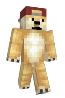 MisterAlpaka Minecraft avatar full body