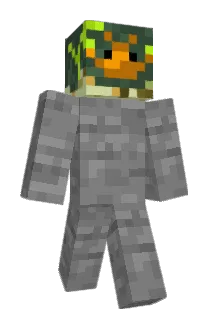 Mister_E_1013 Minecraft avatar full body