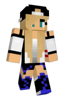 Mitchi234 Minecraft avatar full body
