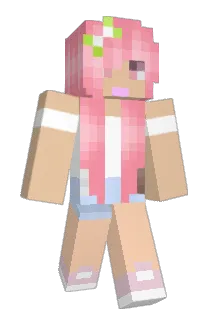 Mitten349 Minecraft avatar full body