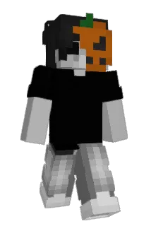 Mixeel_ Minecraft avatar full body