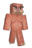 Mjolkis Minecraft avatar full body