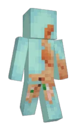 Custom render preview