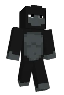Mknza Minecraft avatar full body