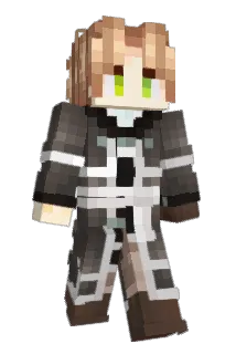 Mlgr221 Minecraft avatar full body