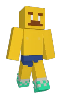 MmkaayKing Minecraft avatar full body