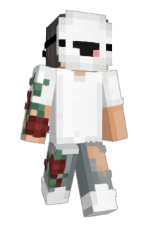 MmmOkHA1 Minecraft avatar full body