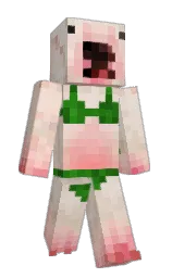 Custom render preview