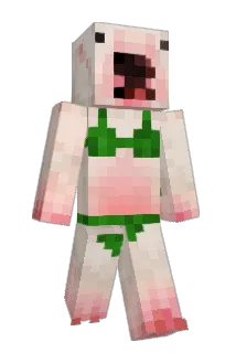 MoeMoney601 Minecraft avatar full body