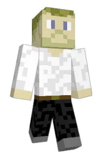 Moessl Minecraft avatar full body