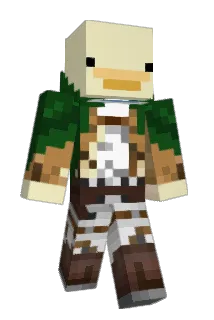 Mokturtle Minecraft avatar full body