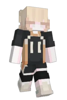 MoldyBeeSock Minecraft avatar full body