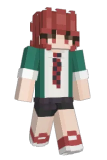 Molengineer Minecraft avatar full body