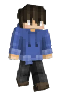 Molies Minecraft avatar full body