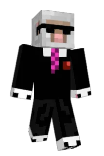 Molly315 Minecraft avatar full body
