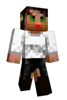 MomDigs Minecraft avatar full body