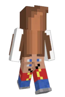 MomGaming306 Minecraft avatar full body