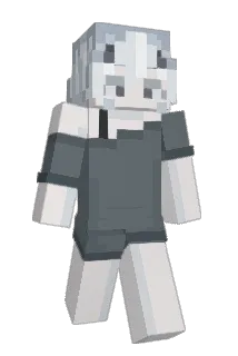 Momoch9 Minecraft avatar full body