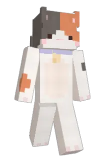 Mon_08 Minecraft avatar full body