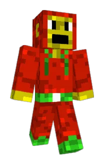 Moncket Minecraft avatar full body