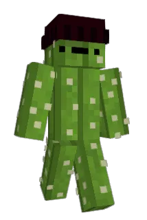 Monomo2008Fro Minecraft avatar full body