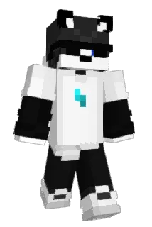 Montek___ Minecraft avatar full body