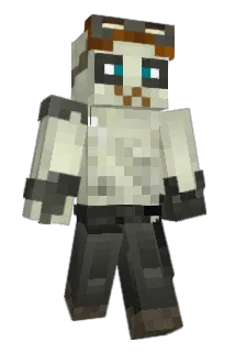 Moomin4321 Minecraft avatar full body