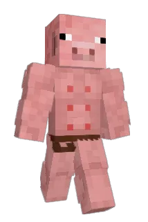 Morf52 Minecraft avatar full body