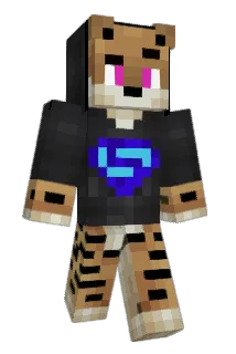 Moritzwent10 Minecraft avatar full body