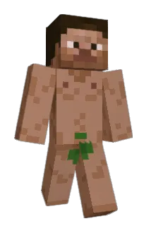 Morkhe Minecraft avatar full body