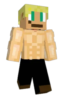Mormor0911 Minecraft avatar full body