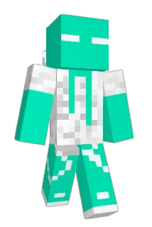 MouldyBroom6576 Minecraft avatar full body