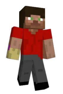 Mountianal Minecraft avatar full body