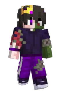 MountinBird_ Minecraft avatar full body