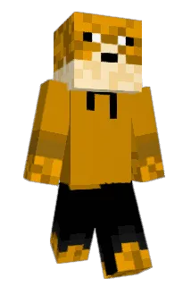 Mpallokala Minecraft avatar full body