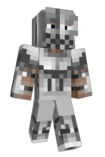 MrBlokk Minecraft avatar full body