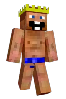 MrCamerooon Minecraft avatar full body