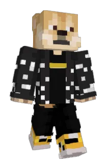 MrDogecoin Minecraft avatar full body