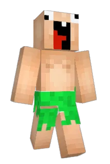MrDonkeyDonk Minecraft avatar full body