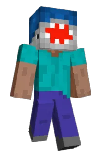 MrFins Minecraft avatar full body