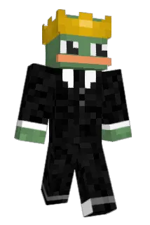 MrFr0g_ Minecraft avatar full body