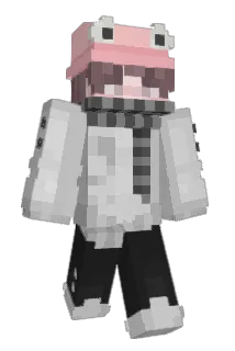 MrFr0ggers Minecraft avatar full body
