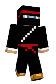 MrGoGome Minecraft avatar full body