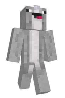 MrLlama85 Minecraft avatar full body