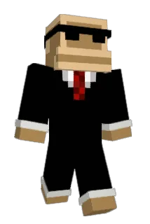 MrMax209 Minecraft avatar full body