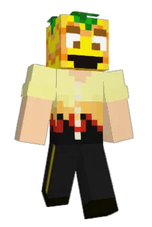 MrN00DLEZz Minecraft avatar full body