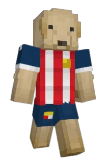 MrNapkin Minecraft avatar full body