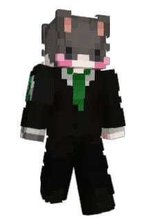 MrRider00 Minecraft avatar full body