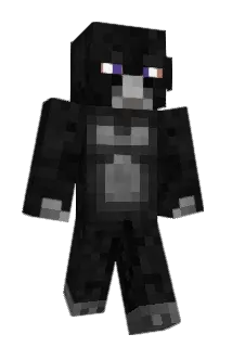 MrRobot2 Minecraft avatar full body